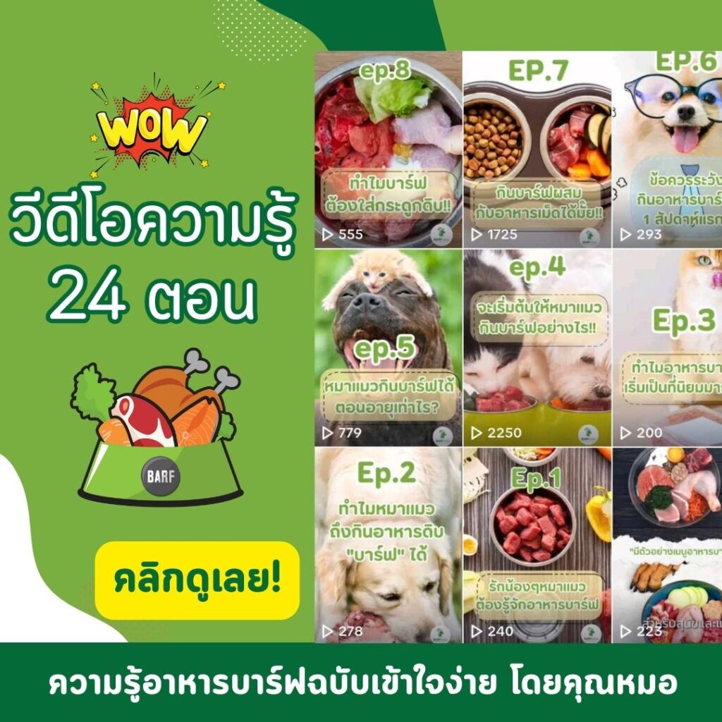 24 วีดีโอบาร์ฟจากหมอเป็ด