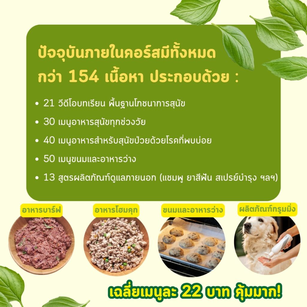 เนื้อหาคอร์สโภชนาการสุนัขแบบองค์รวม