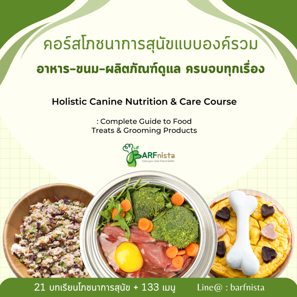 คอร์สโภชนาการสุนัขแบบองค์รวม โดยหมอเป็ด