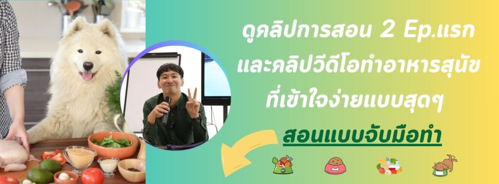 ดูคลิปการสอน คอร์สสอนทำอาหารสุนัข