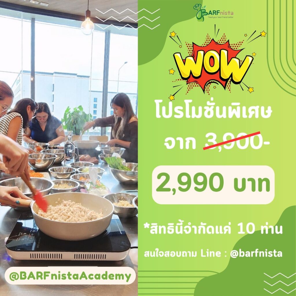 โปรโมชั่นคอร์สออนไลน์สอนทำอาหารสุนัข โดยหมอเป็ด