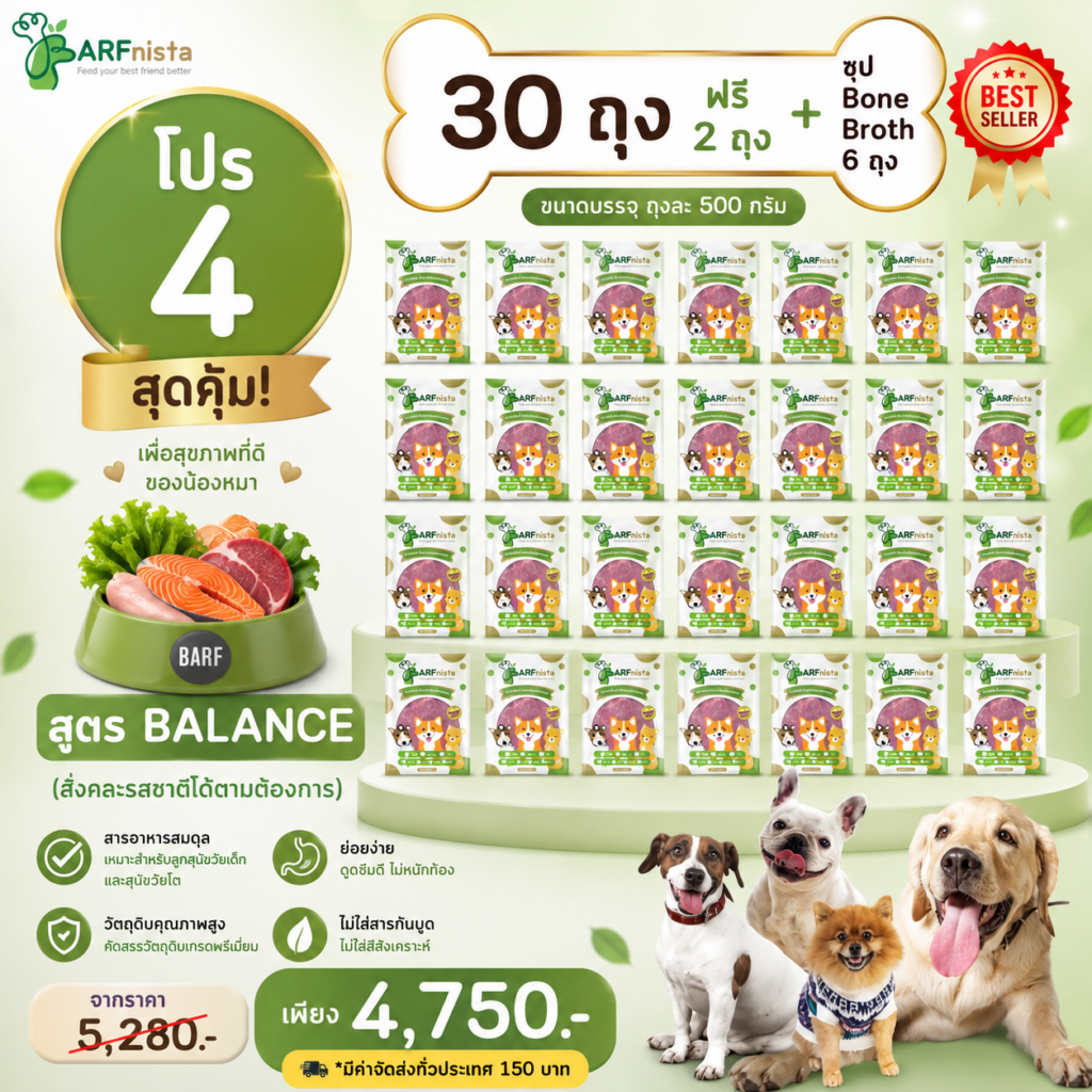 บาร์ฟสุนัข สูตรBalance สำหรับลูกสุนัขและสุนัขโต