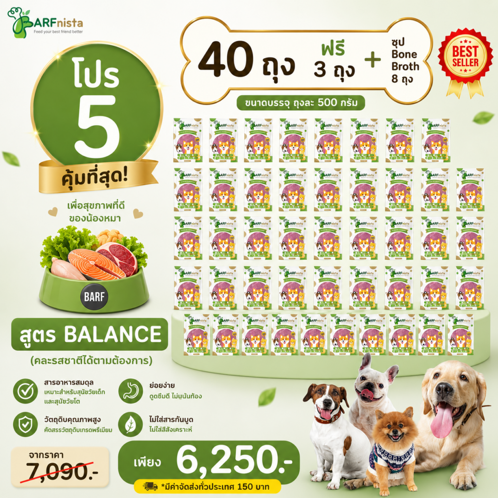 บาร์ฟสุนัข สูตรBalance สำหรับลูกสุนัขและสุนัขโต