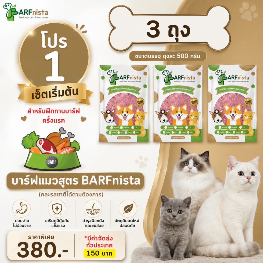 บาร์ฟแมว ของ BARFnista
