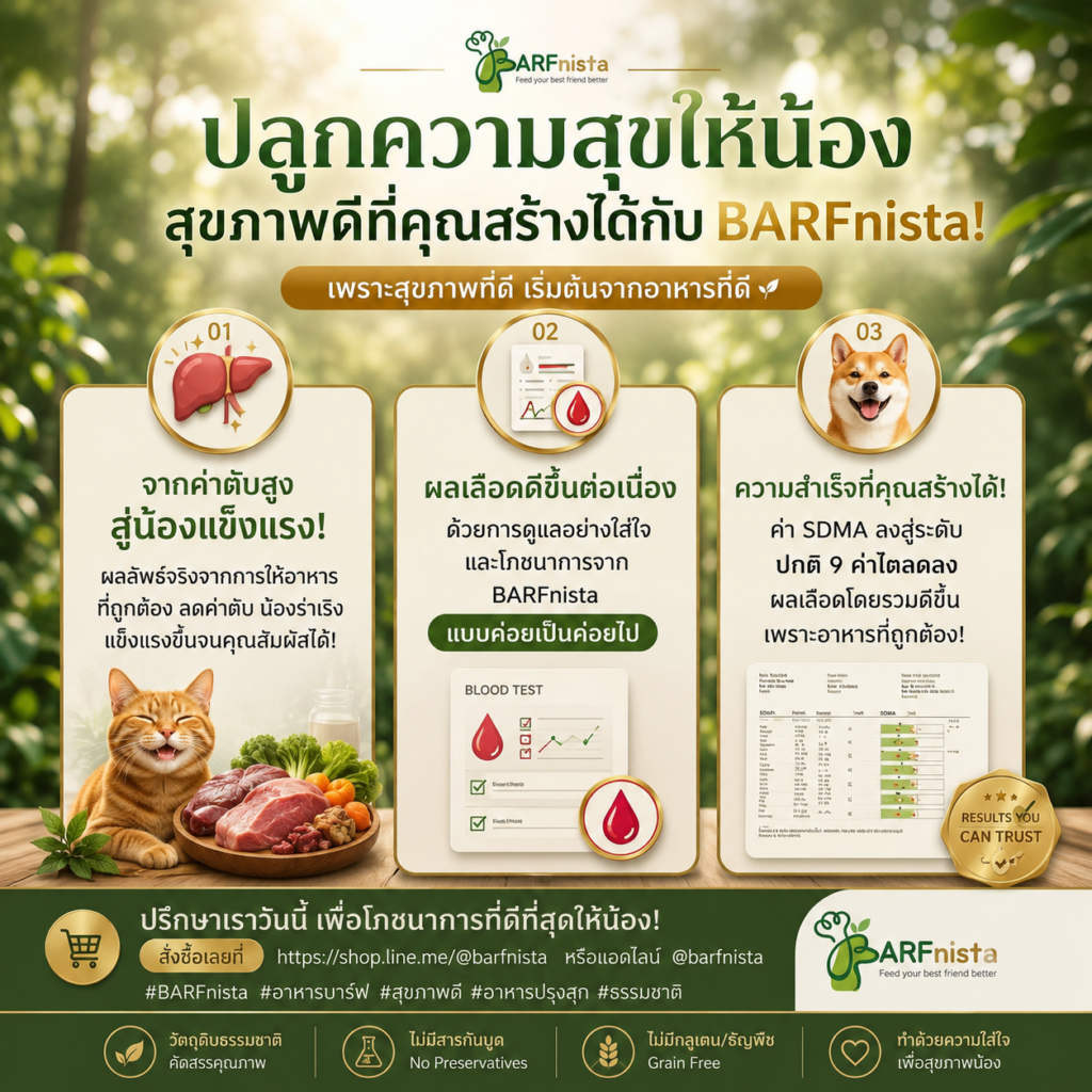 อาหารสุขภาพเพื่อหมาแมว BARFnista