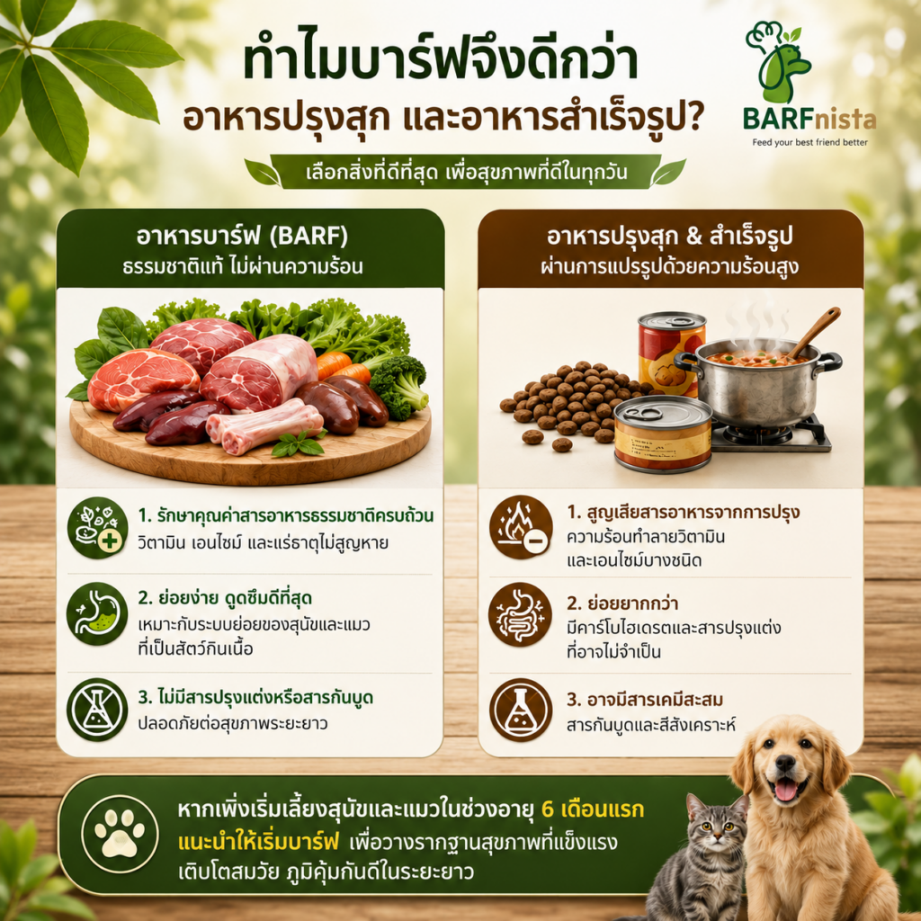 อาหารสุขภาพเพื่อหมาแมว BARFnista
