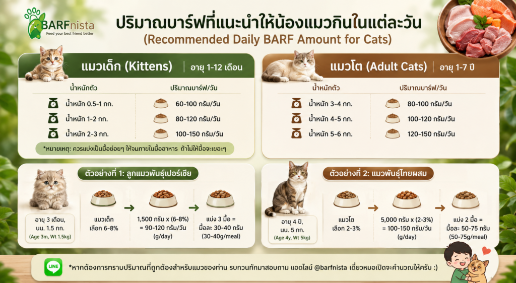 บาร์ฟแมว ของ BARFnista