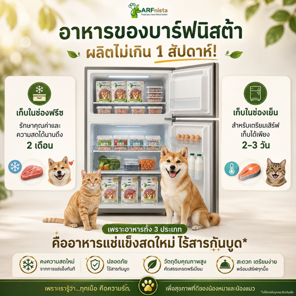 อาหารสุขภาพเพื่อหมาแมว BARFnista