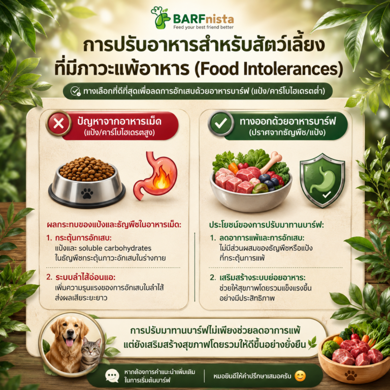 อาหารสุขภาพเพื่อหมาแมว BARFnista