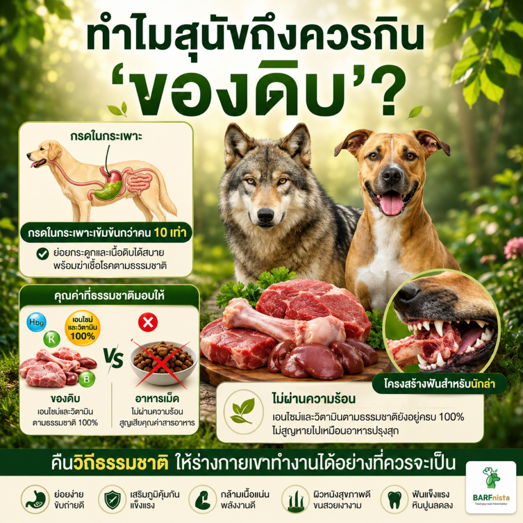 อาหารสุขภาพเพื่อหมาแมว BARFnista
