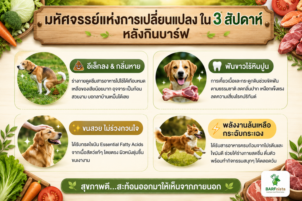 อาหารสุขภาพเพื่อหมาแมว BARFnista
