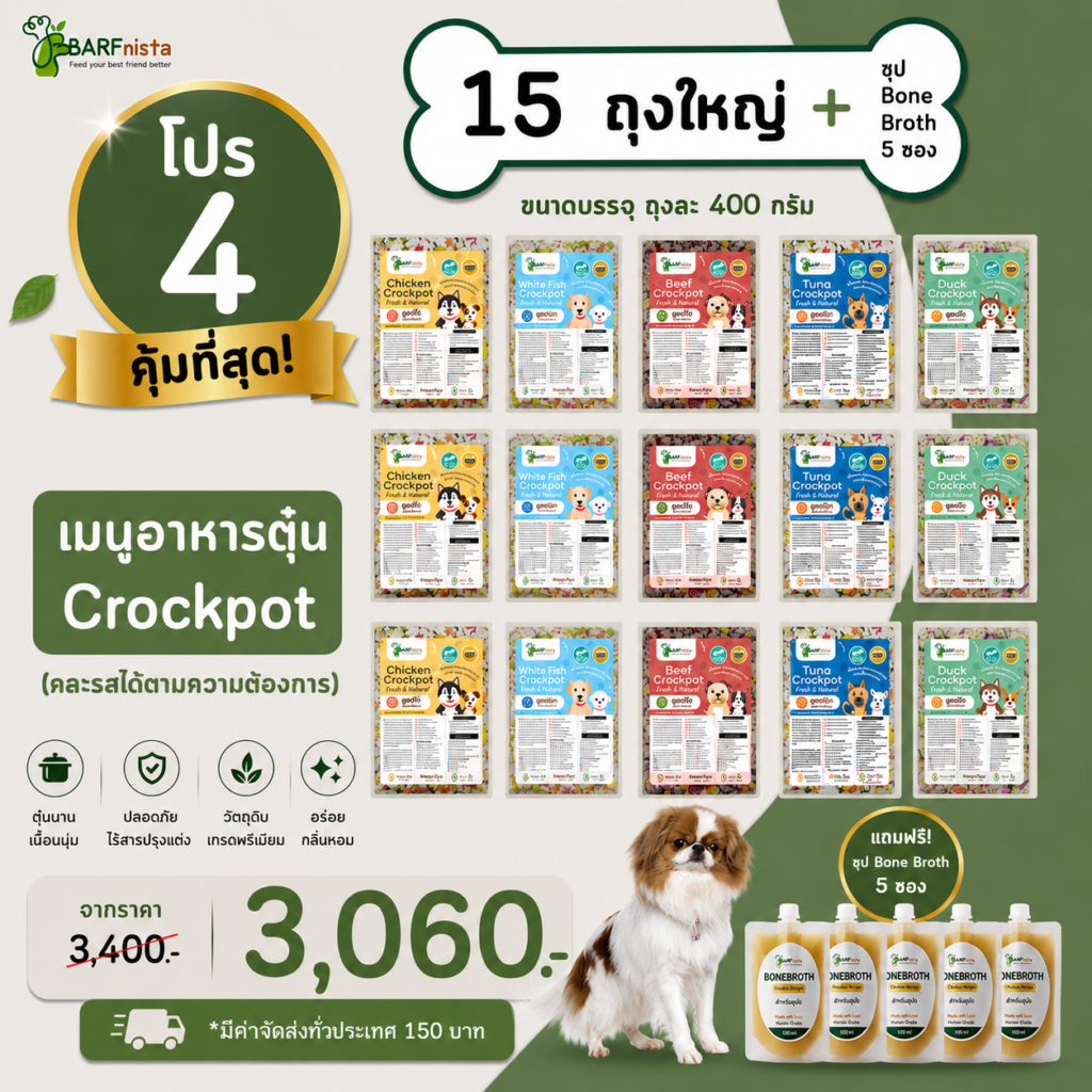 อาหารตุ๋นปรุงสุก Crockpot สำหรับสุนัข
