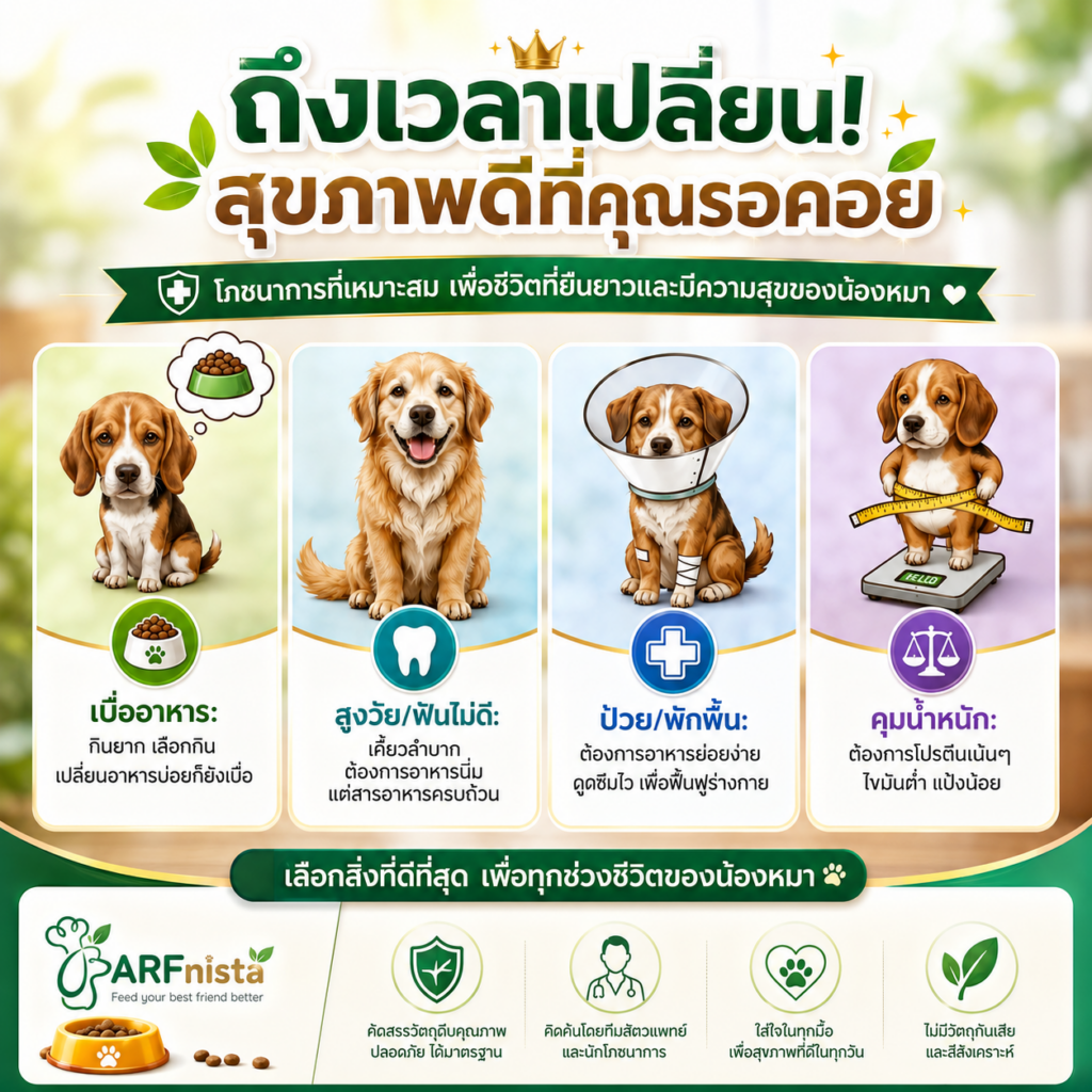 อาหารตุ๋นปรุงสุก Crockpot สำหรับสุนัข