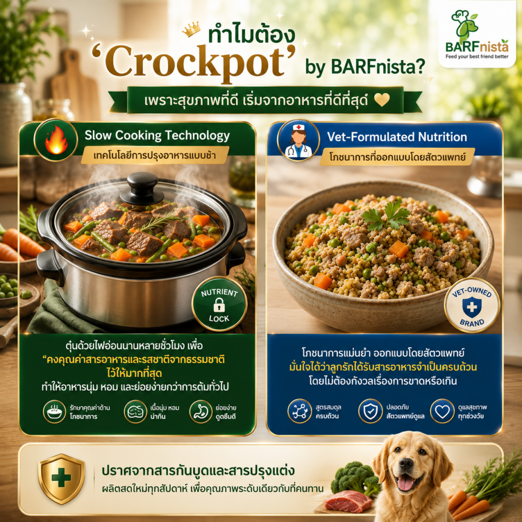 อาหารตุ๋นปรุงสุก Crockpot สำหรับสุนัข