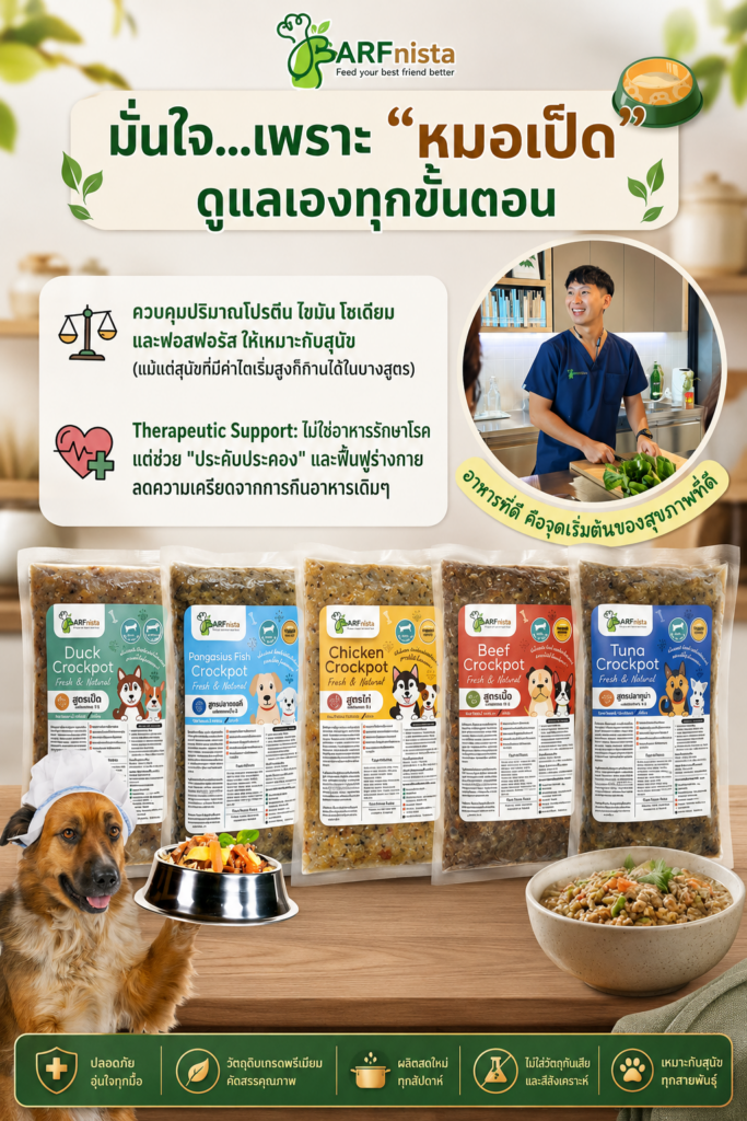อาหารตุ๋นปรุงสุก Crockpot สำหรับสุนัข
