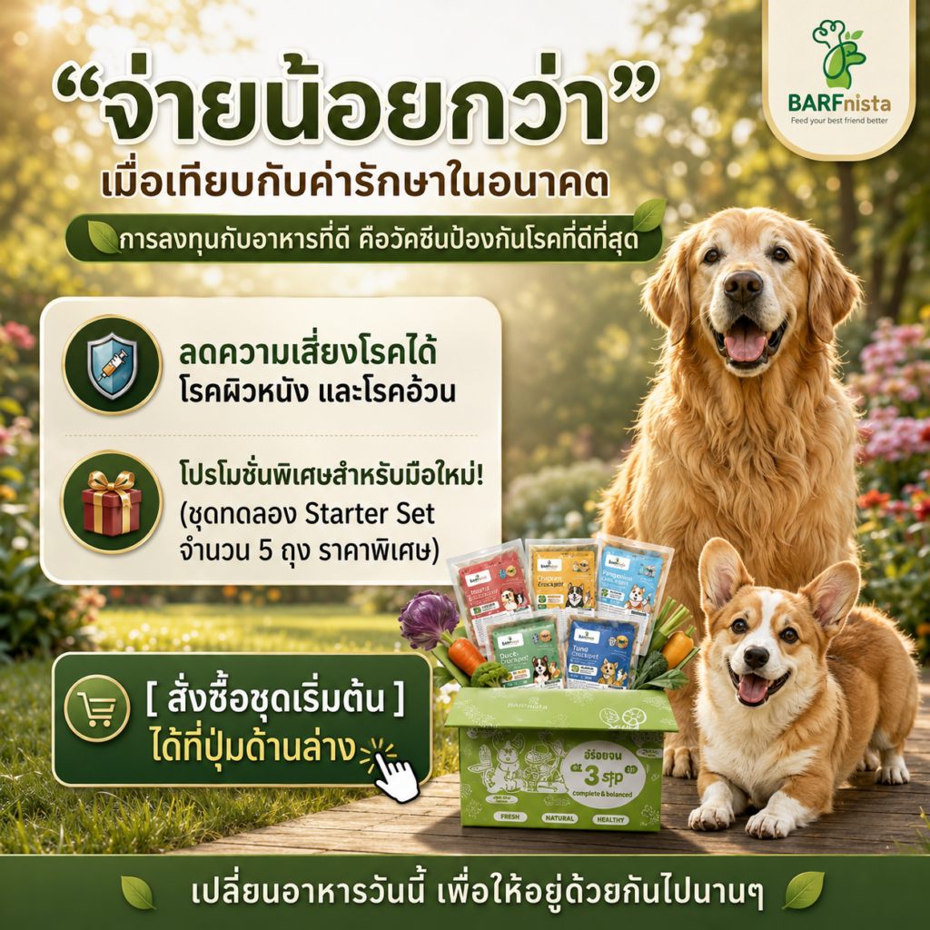 อาหารตุ๋นปรุงสุก Crockpot สำหรับสุนัข