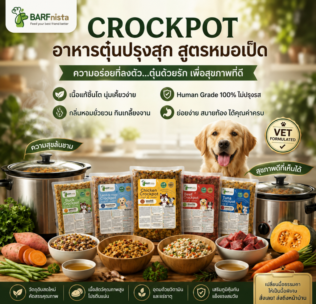 อาหารตุ๋นปรุงสุก Crockpot สำหรับสุนัข