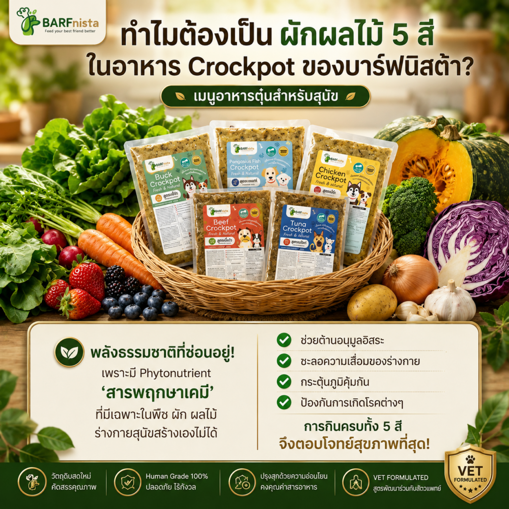 อาหารตุ๋นปรุงสุก Crockpot สำหรับสุนัข