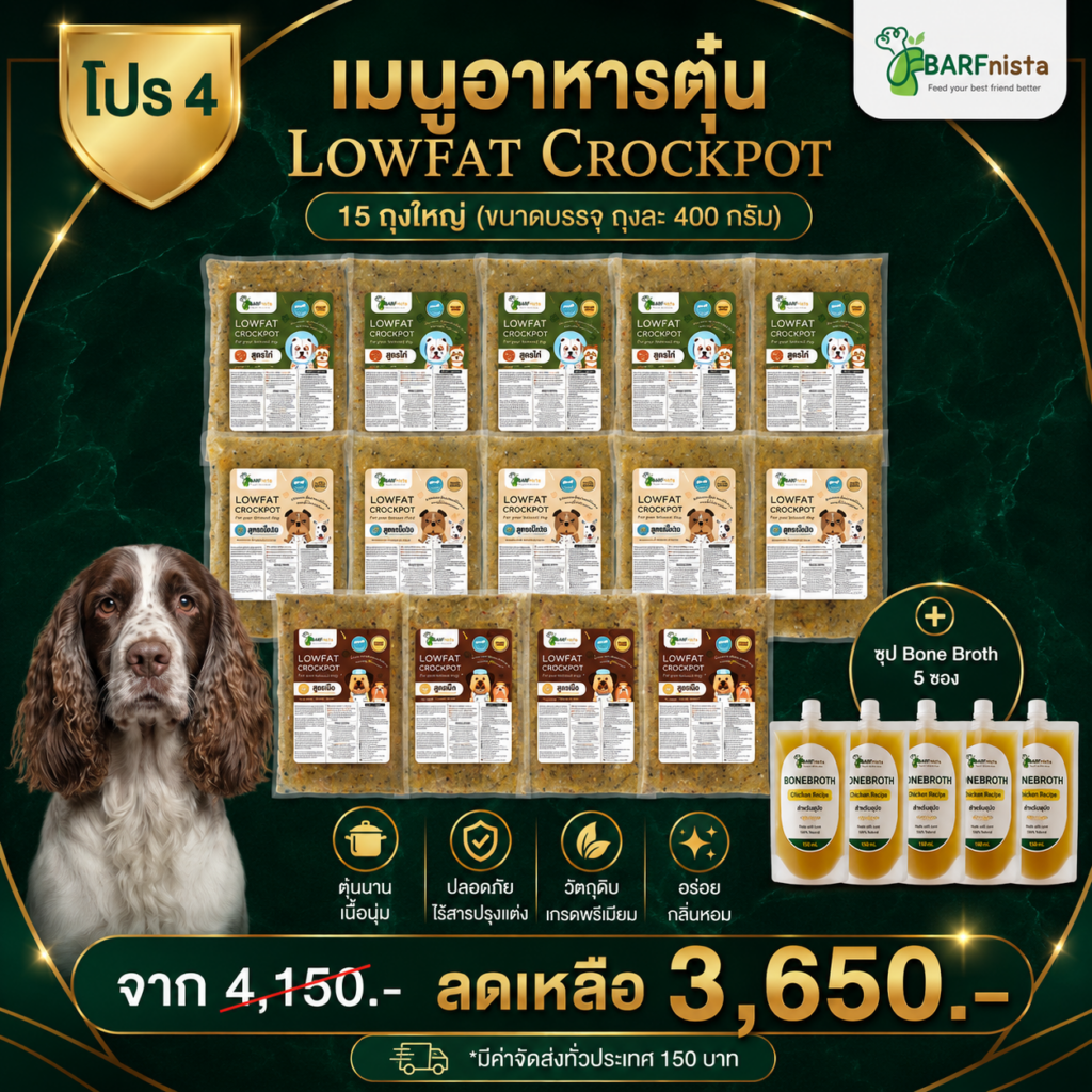 อาหาร Lowfat Crockpot สำหรับสุนัข 10 ปี ขึ้นไป