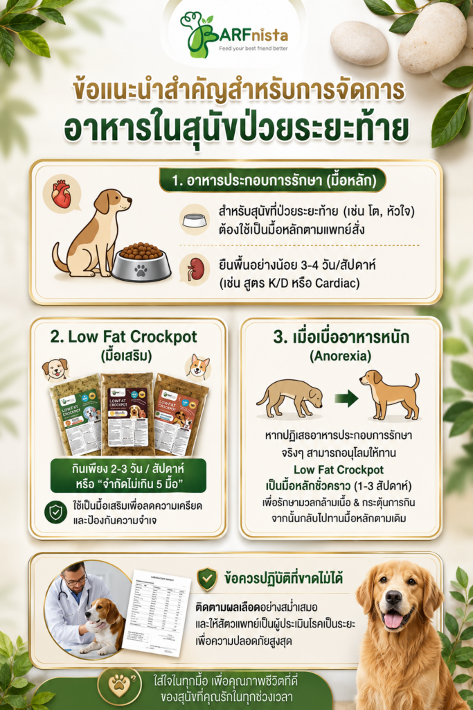 อาหาร Lowfat Crockpot สำหรับสุนัข 10 ปี ขึ้นไป