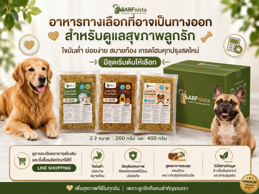อาหาร Lowfat Crockpot สำหรับสุนัข 10 ปี ขึ้นไป