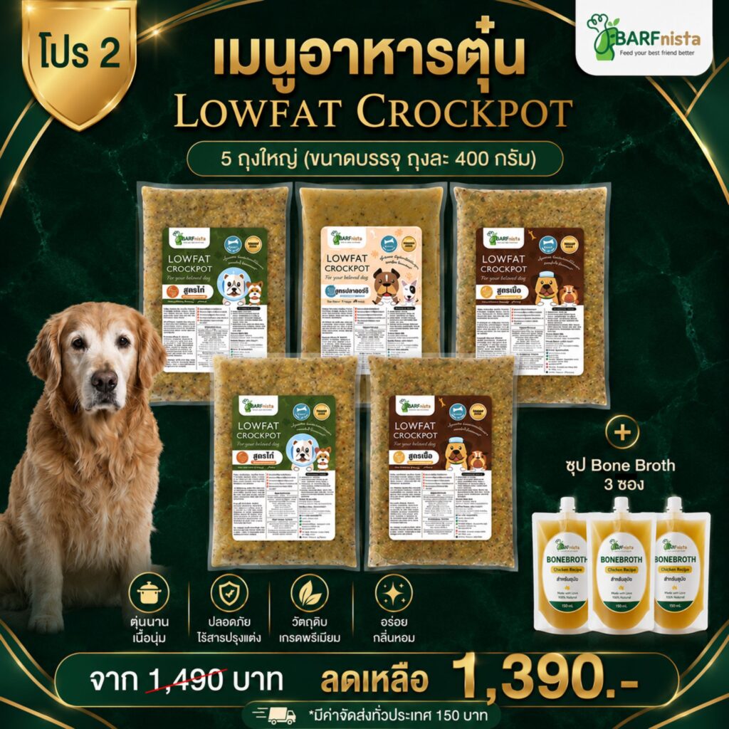 อาหาร Lowfat Crockpot สำหรับสุนัข 10 ปี ขึ้นไป