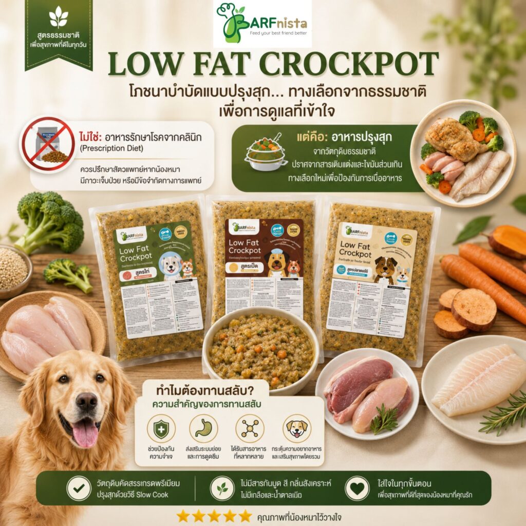 อาหาร Lowfat Crockpot สำหรับสุนัข 10 ปี ขึ้นไป